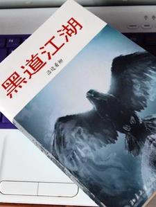 黑道江湖二十年小说